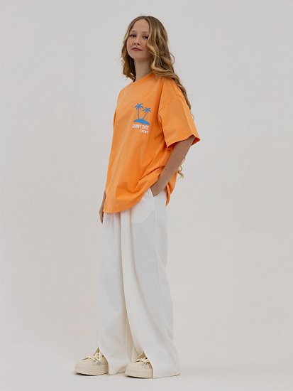 Футболка артикул:PJGCT17-51-4