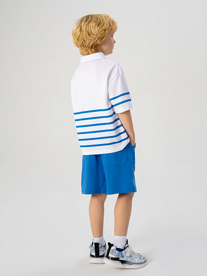 Футболка-поло артикул:PKBCT01-WQ-2