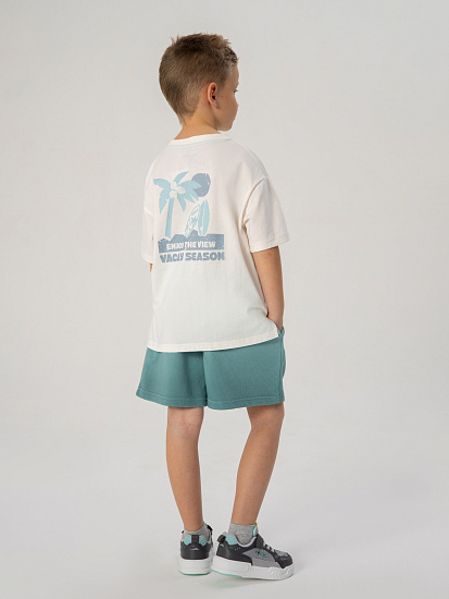 Шорты артикул:PKBCH06-N1-2