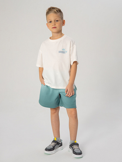 Шорты артикул:PKBCH06-N1-3