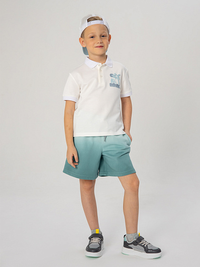 Шорты артикул:PKBCH06-N1-1